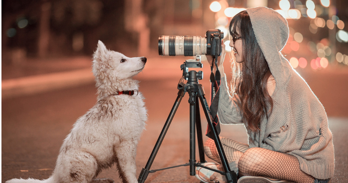 子犬とカメラ